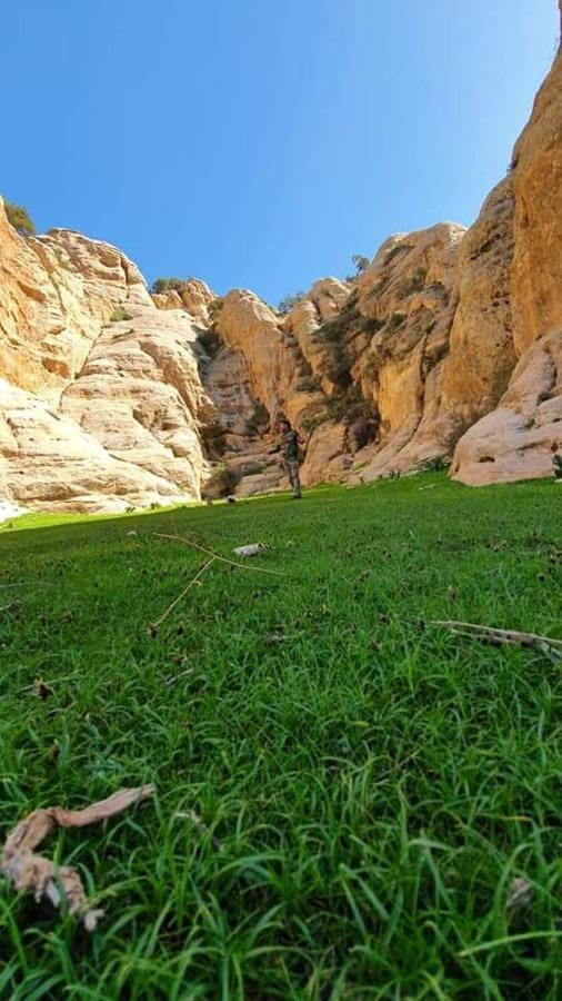 Dana Sunset Eco Camp Hotel Ngoại thất bức ảnh